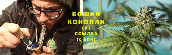 дмт Белокуриха