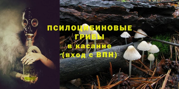 дмт Белокуриха