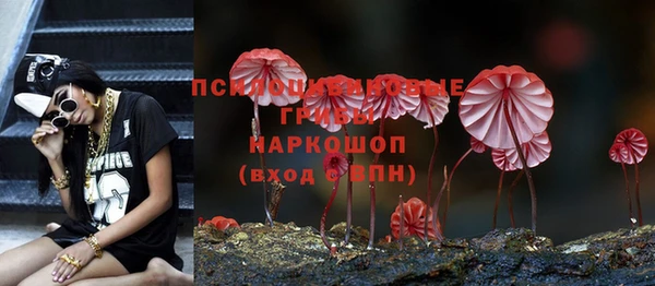 Альфа ПВП Балабаново