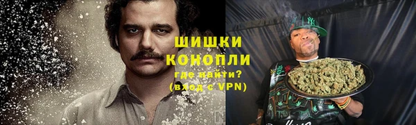 дмт Белокуриха